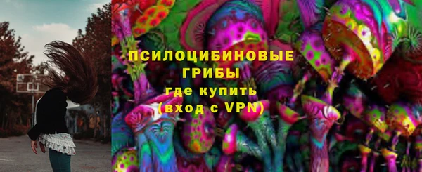 сатива Армянск