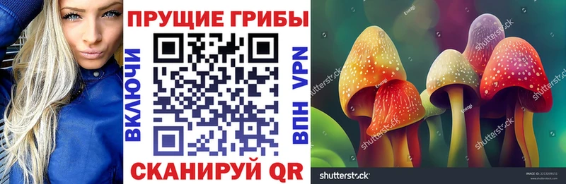Псилоцибиновые грибы Psilocybe сколько стоит Ртищево